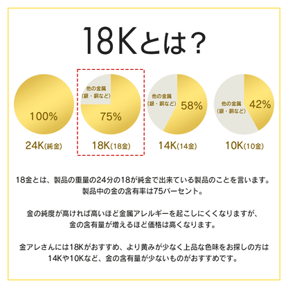 【18KGP】ブラックハートチタンイヤリング ND